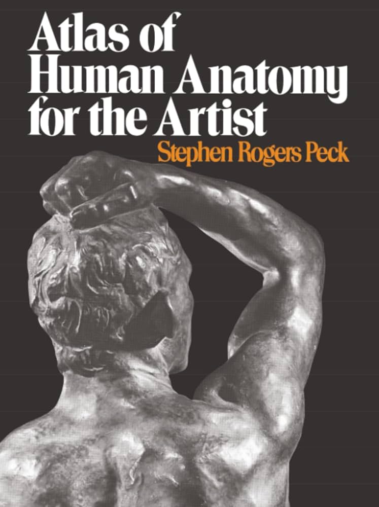 ANATOMY FOR THE ARTIST　解剖デッサン集 美術解剖学 An Atlas of Anatomy for Artists - メルカリ